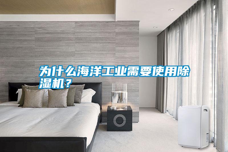 為什么海洋工業(yè)需要使用除濕機(jī)？