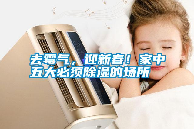 去霉氣，迎新春！家中五大必須除濕的場所