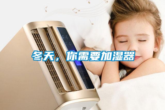 冬天，你需要加濕器