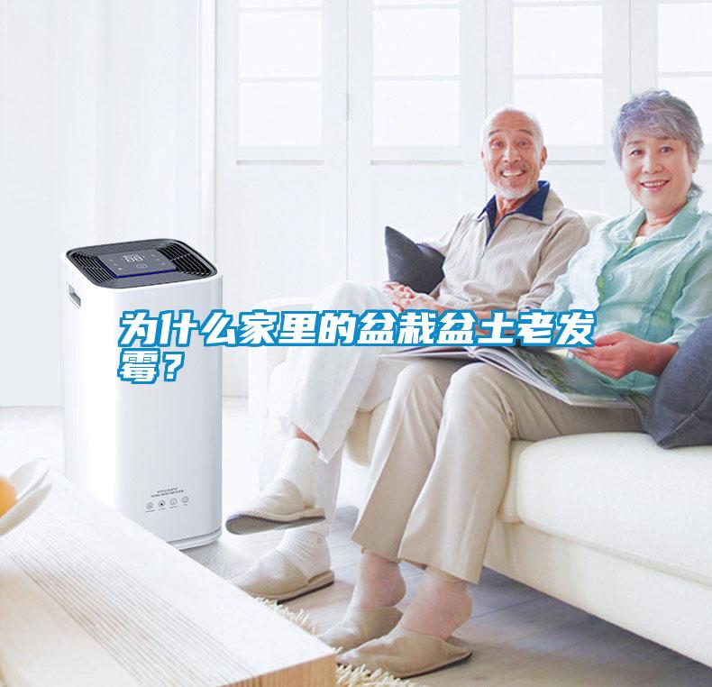 為什么家里的盆栽盆土老發(fā)霉？