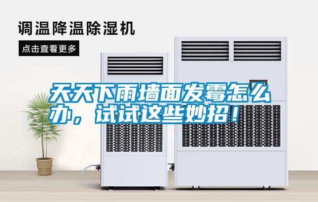 天天下雨墻面發(fā)霉怎么辦，試試這些妙招！