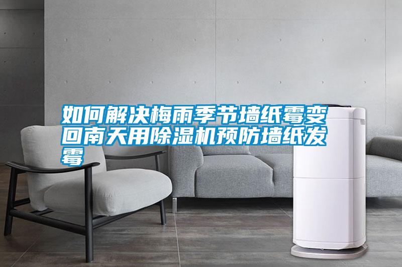 如何解決梅雨季節(jié)墻紙霉變 回南天用除濕機預(yù)防墻紙發(fā)霉