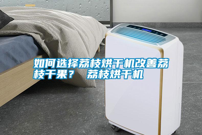 如何選擇荔枝烘干機(jī)改善荔枝干果？ 荔枝烘干機(jī)