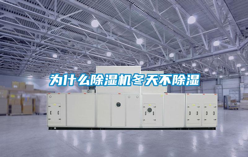 為什么除濕機(jī)冬天不除濕