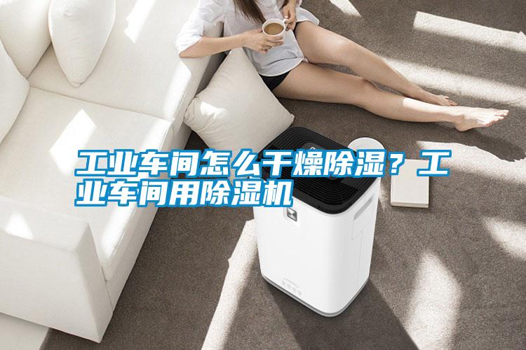 工業(yè)車間怎么干燥除濕？工業(yè)車間用除濕機(jī)