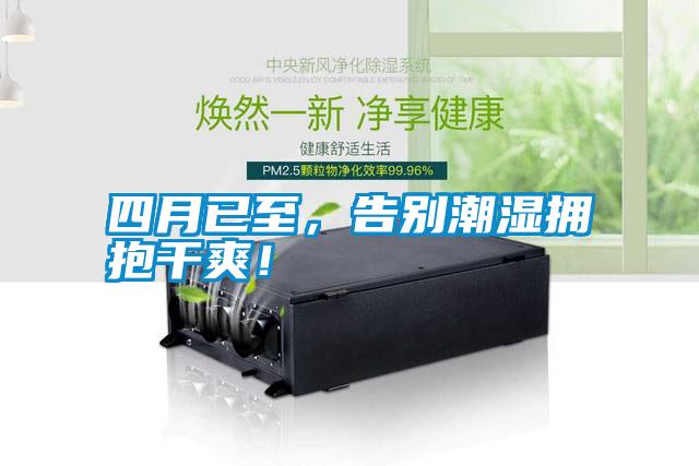 四月已至，告別潮濕擁抱干爽！