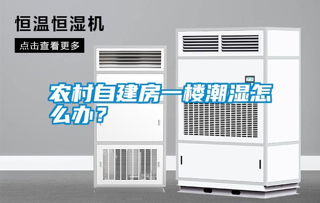 農(nóng)村自建房一樓潮濕怎么辦？