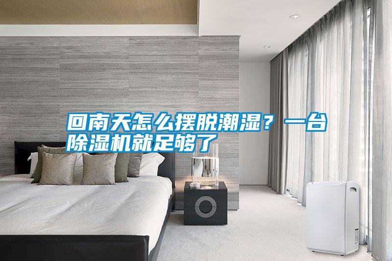 回南天怎么擺脫潮濕？一臺(tái)除濕機(jī)就足夠了