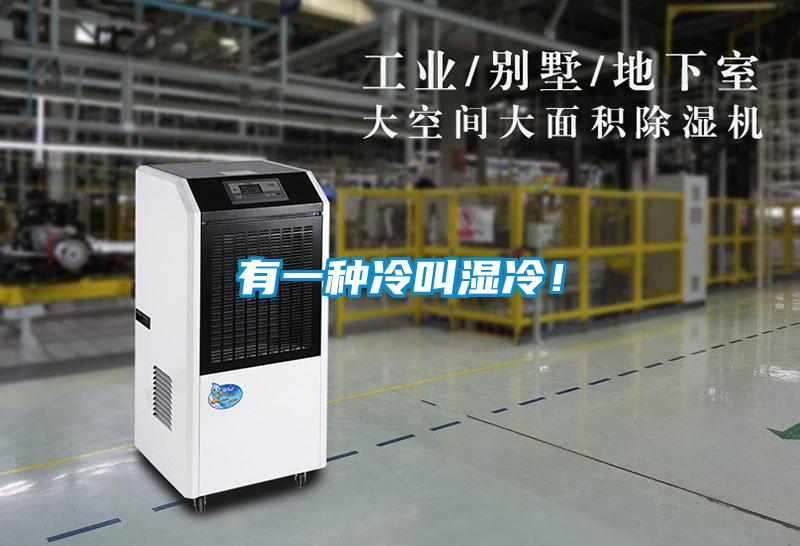 有一種冷叫濕冷！