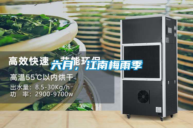 六月，江南梅雨季