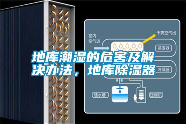 地庫(kù)潮濕的危害及解決辦法，地庫(kù)除濕器