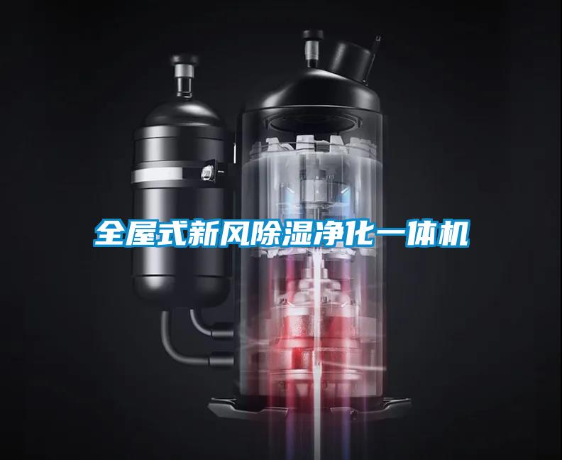 全屋式新風(fēng)除濕凈化一體機