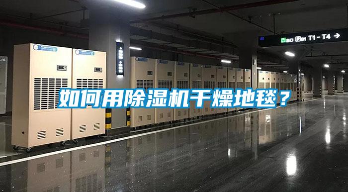 如何用除濕機干燥地毯？