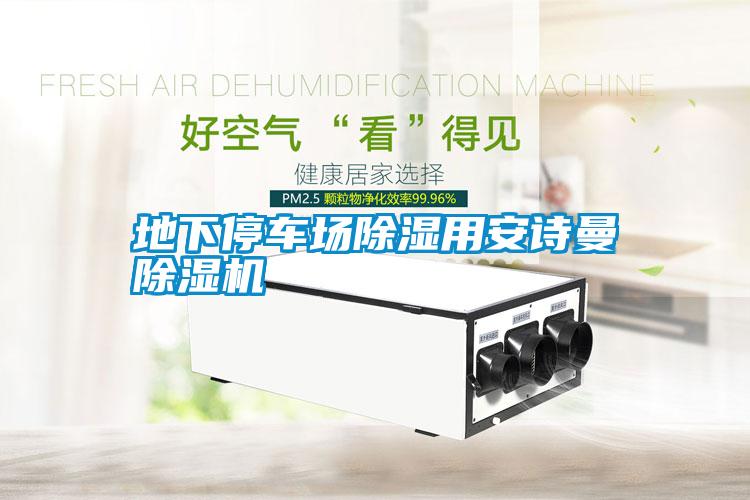 地下停車場除濕用安詩曼除濕機(jī)