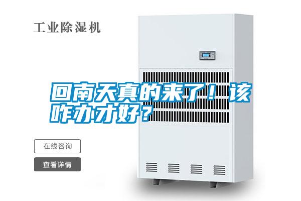 回南天真的來了！該咋辦才好？