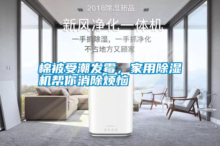 棉被受潮發(fā)霉，家用除濕機(jī)幫你消除煩惱