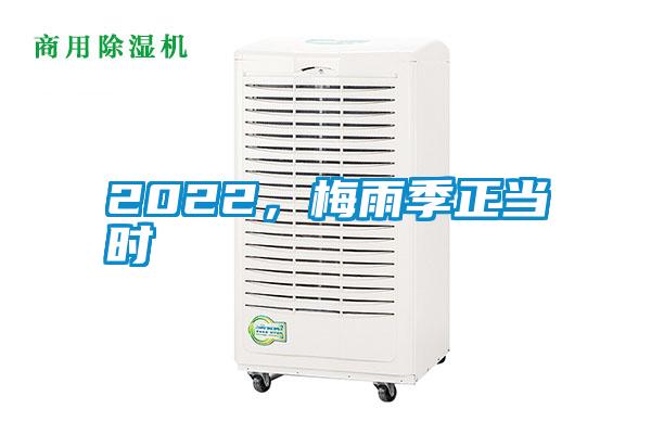 2022，梅雨季正當(dāng)時(shí)