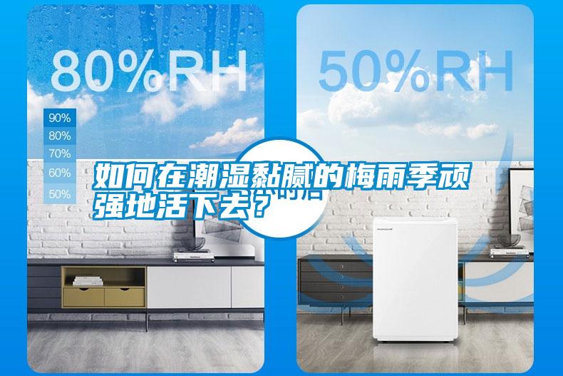 如何在潮濕黏膩的梅雨季頑強地活下去？