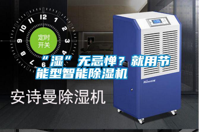“濕”無忌憚？就用節(jié)能型智能除濕機