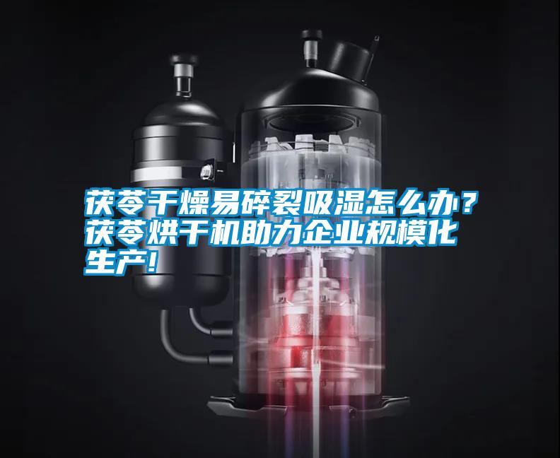 茯苓干燥易碎裂吸濕怎么辦？茯苓烘干機(jī)助力企業(yè)規(guī)?；a(chǎn)!