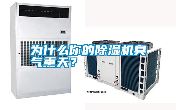 為什么你的除濕機(jī)臭氣熏天？