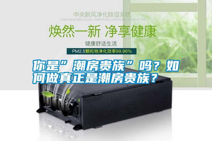 你是”潮房貴族”嗎？如何做真正是潮房貴族？
