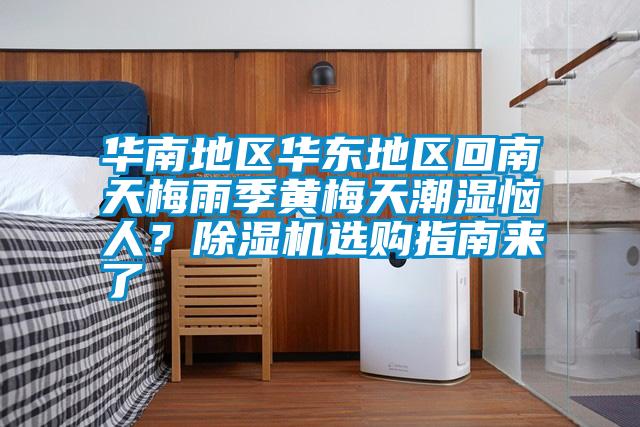 華南地區(qū)華東地區(qū)回南天梅雨季黃梅天潮濕惱人？除濕機選購指南來了