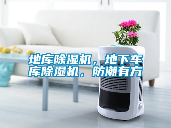 地庫(kù)除濕機(jī)，地下車庫(kù)除濕機(jī)，防潮有方
