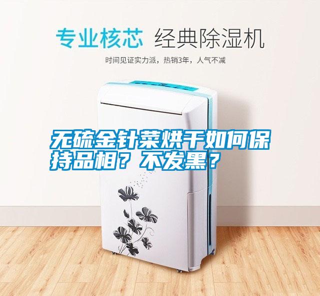 無硫金針菜烘干如何保持品相？不發(fā)黑？