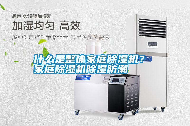 什么是整體家庭除濕機(jī)？ 家庭除濕機(jī)除濕防潮
