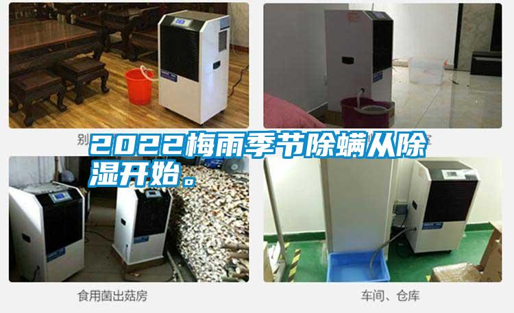 2022梅雨季節(jié)除螨從除濕開(kāi)始。