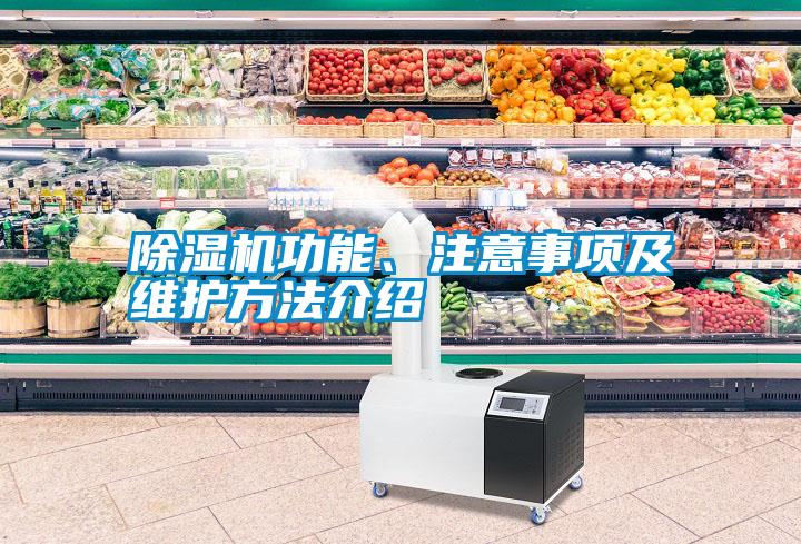 除濕機(jī)功能、注意事項(xiàng)及維護(hù)方法介紹