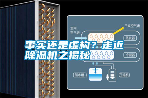 事實還是虛構？走近除濕機之揭秘