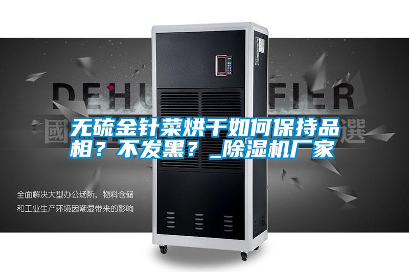 無硫金針菜烘干如何保持品相？不發(fā)黑？_除濕機廠家