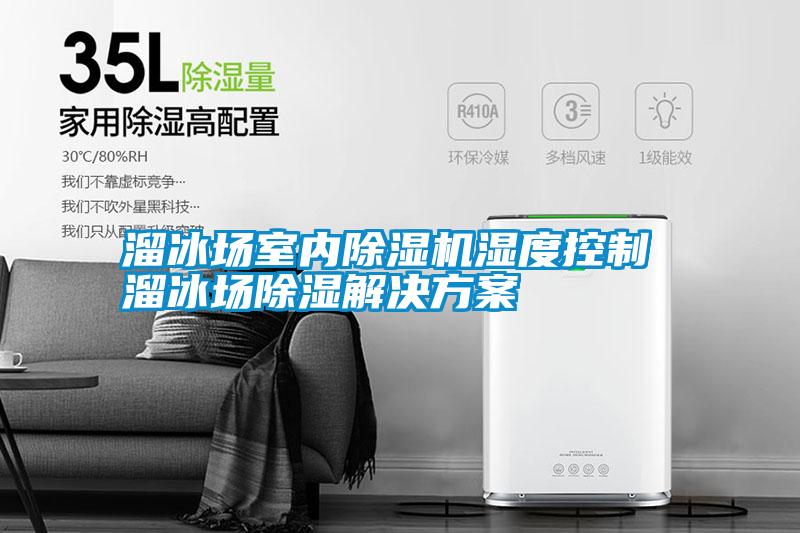 溜冰場室內除濕機濕度控制 溜冰場除濕解決方案