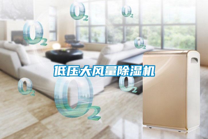低壓大風(fēng)量除濕機