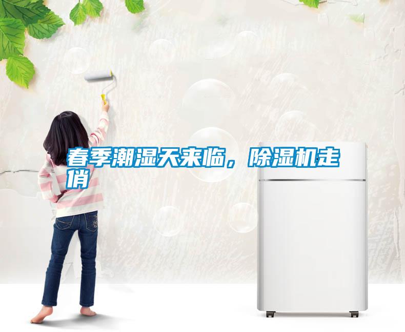 春季潮濕天來(lái)臨，除濕機(jī)走俏