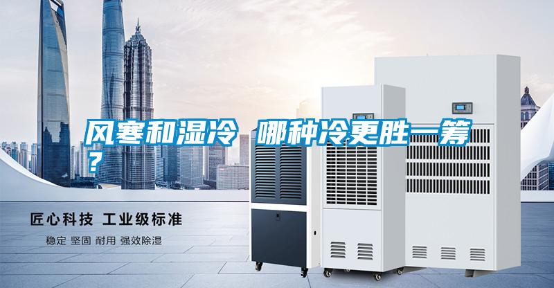 風(fēng)寒和濕冷 哪種冷更勝一籌？