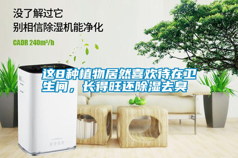 這8種植物居然喜歡待在衛(wèi)生間，長(zhǎng)得旺還除濕去臭