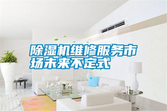 除濕機維修服務(wù)市場未來不定式
