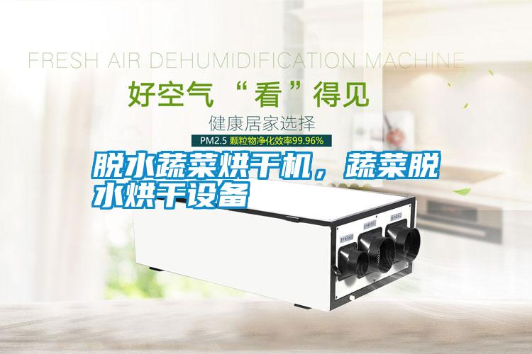 脫水蔬菜烘干機(jī)，蔬菜脫水烘干設(shè)備