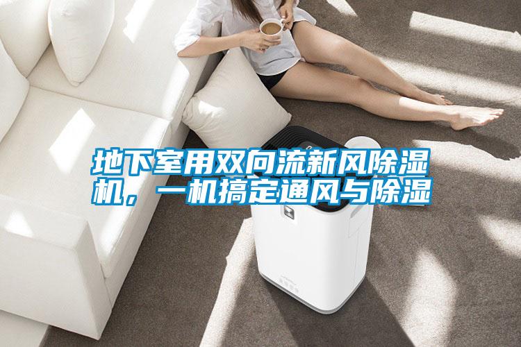 地下室用雙向流新風(fēng)除濕機(jī)，一機(jī)搞定通風(fēng)與除濕