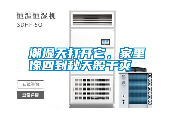 潮濕天打開它，家里像回到秋天般干爽