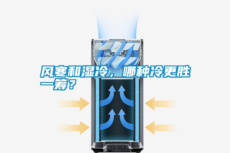 風(fēng)寒和濕冷，哪種冷更勝一籌？