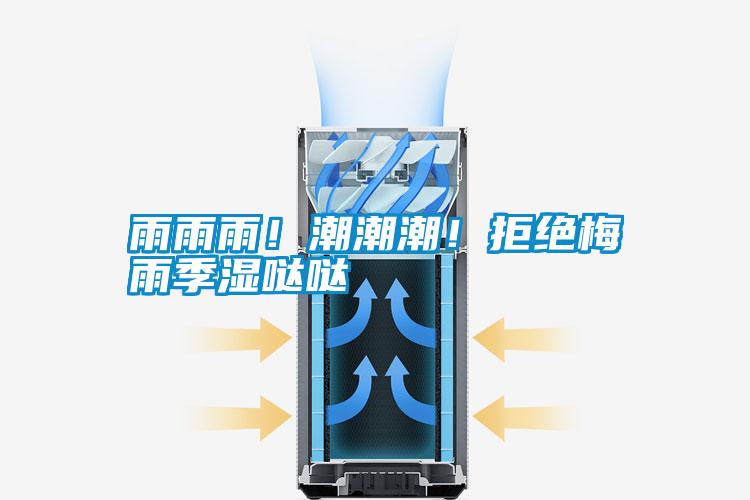 雨雨雨！潮潮潮！拒絕梅雨季濕噠噠