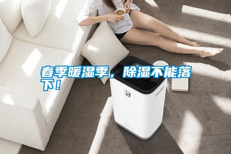 春季暖濕季，除濕不能落下！