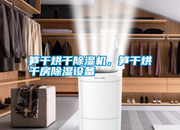 筍干烘干除濕機(jī)，筍干烘干房除濕設(shè)備