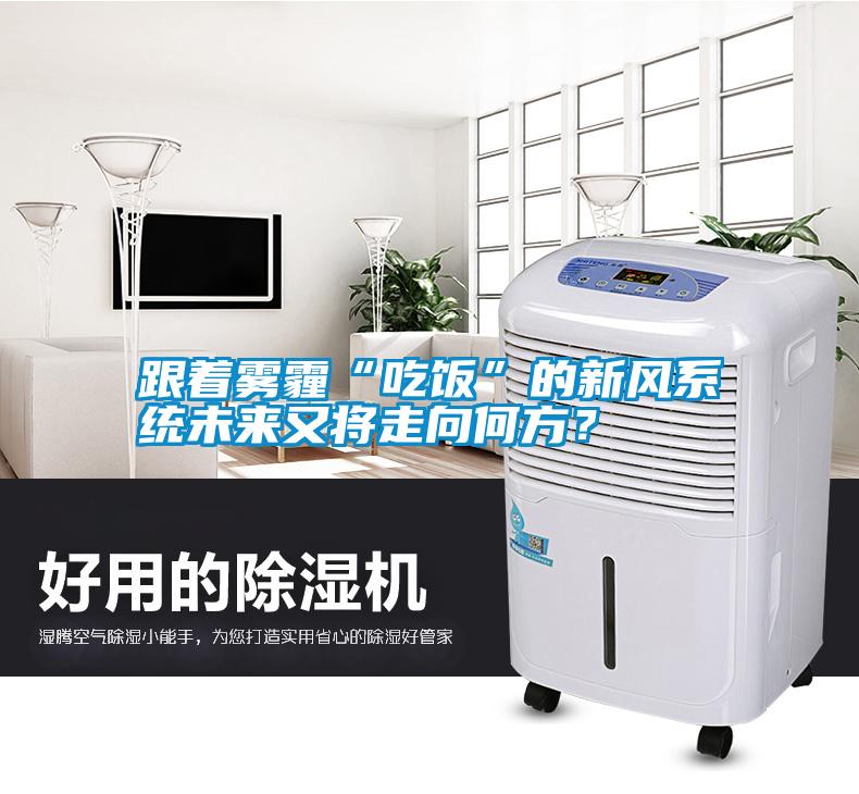 跟著霧霾“吃飯”的新風(fēng)系統(tǒng)未來(lái)又將走向何方？