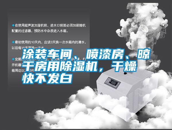 涂裝車間、噴漆房、晾干房用除濕機，干燥快不發(fā)白