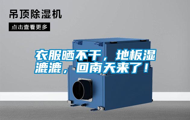 衣服曬不干，地板濕漉漉，回南天來了！